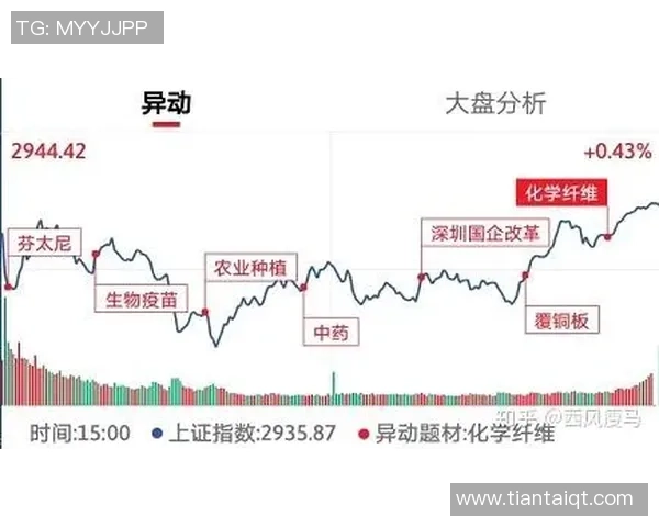 南京乒乓球队与上海乒乓球队赛后复盘分析比赛节奏与战术对比