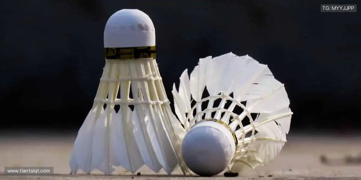 🎾 运动装备，品质之选！从赛场到生活，陪伴你的每一步👟